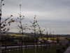 DSC00353