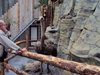 DSC01101