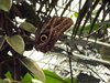 DSC01087
