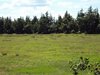 DSC00454