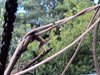 DSC00450