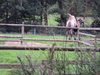 DSC00760