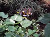 DSC00797