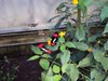DSC00801