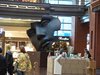 HB290031